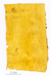 050_XT0046XX sezione longitudinale