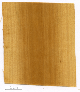 051_XT0053XX sezione longitudinale