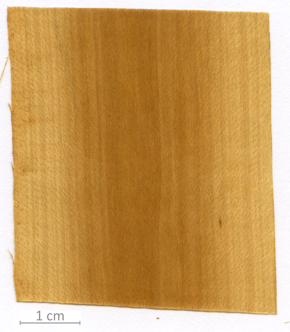 051_XT0053XX sezione longitudinale