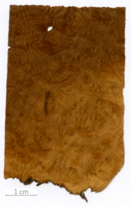 052_XT0149XX sezione longitudinale