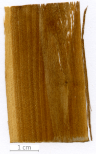 053_XT0054XX sezione longitudinale