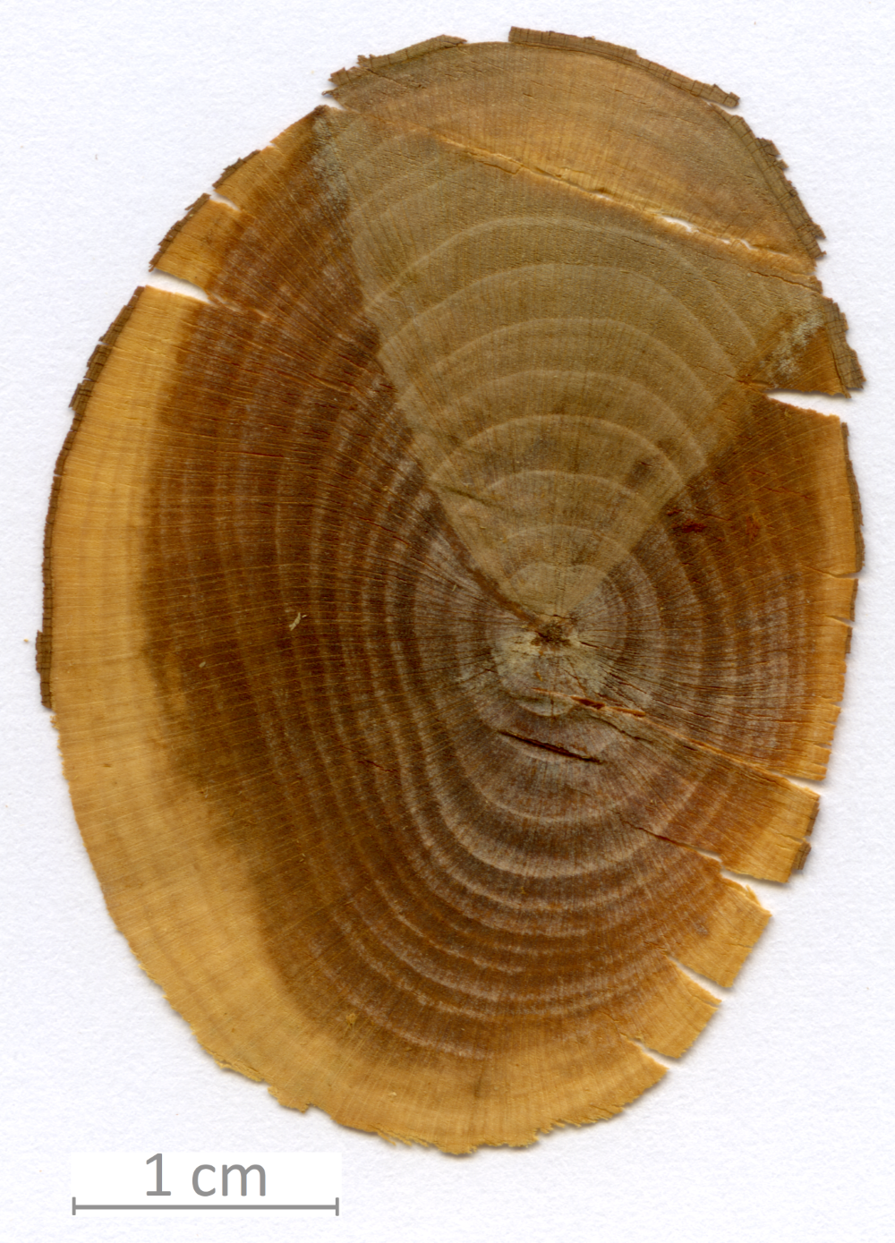 053_XT0054XX sezione trasversale