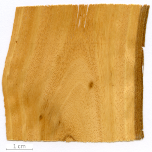 054_XT0166XX sezione longitudinale