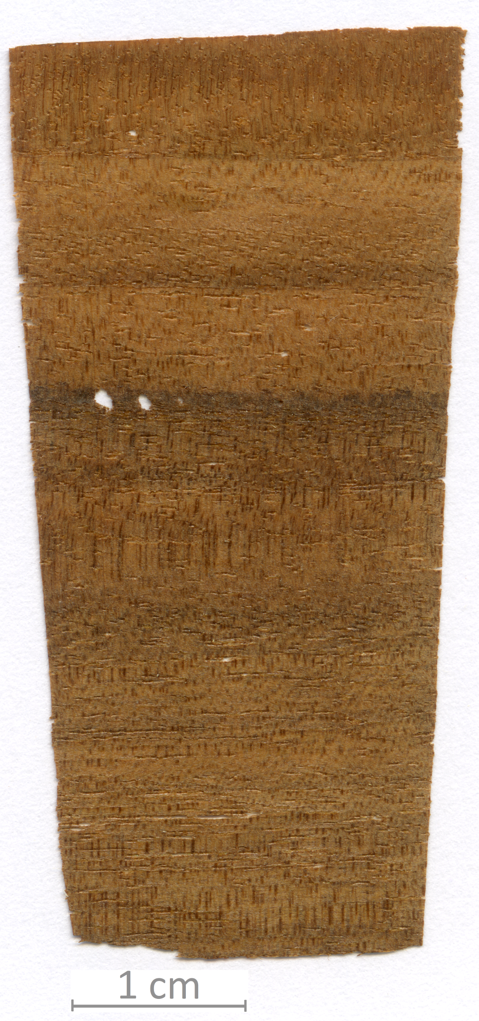 055_XT0165XX sezione longitudinale tangenziale