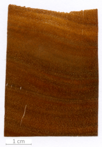 055_XT0165XX sezione trasversale