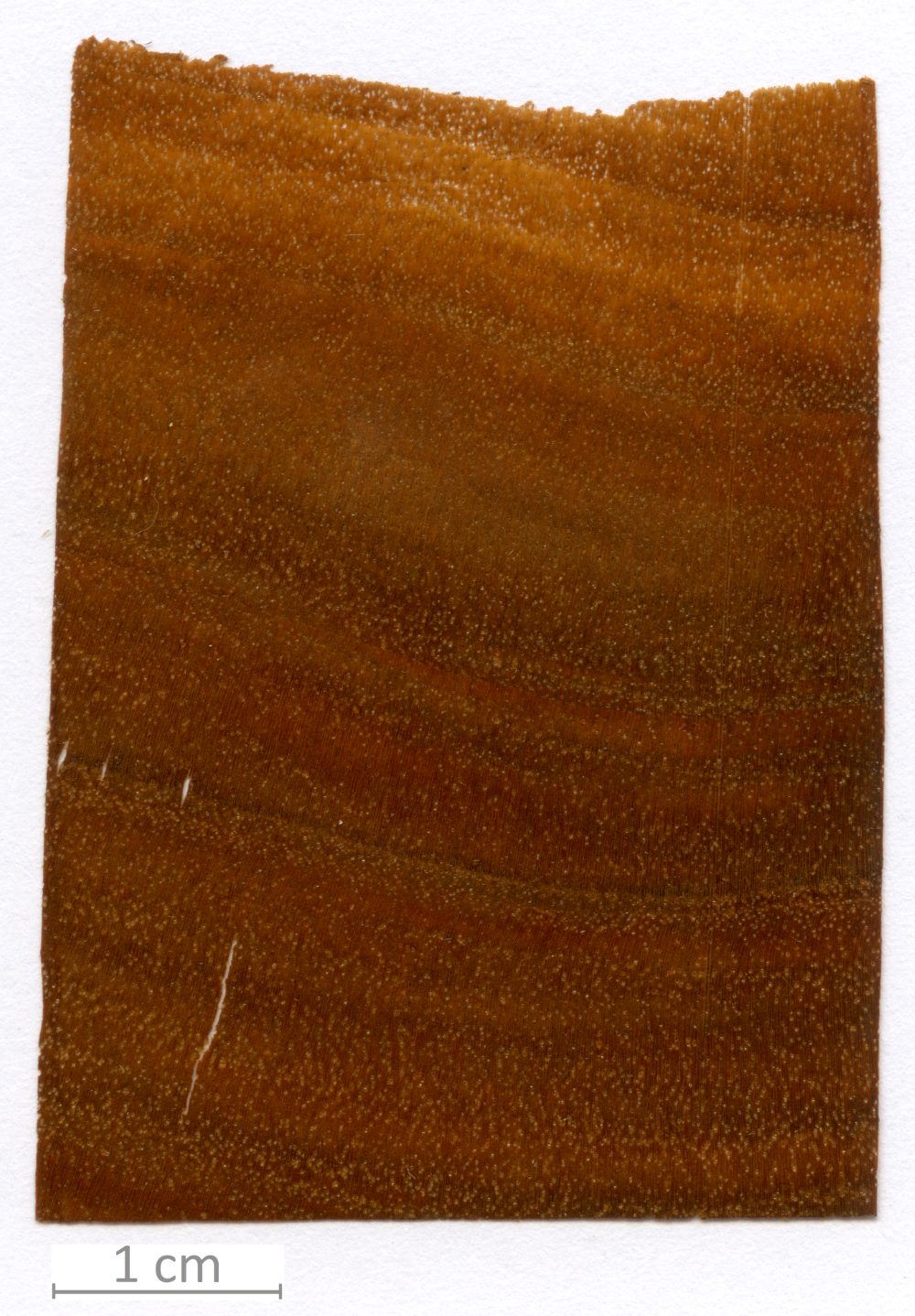 055_XT0165XX sezione trasversale