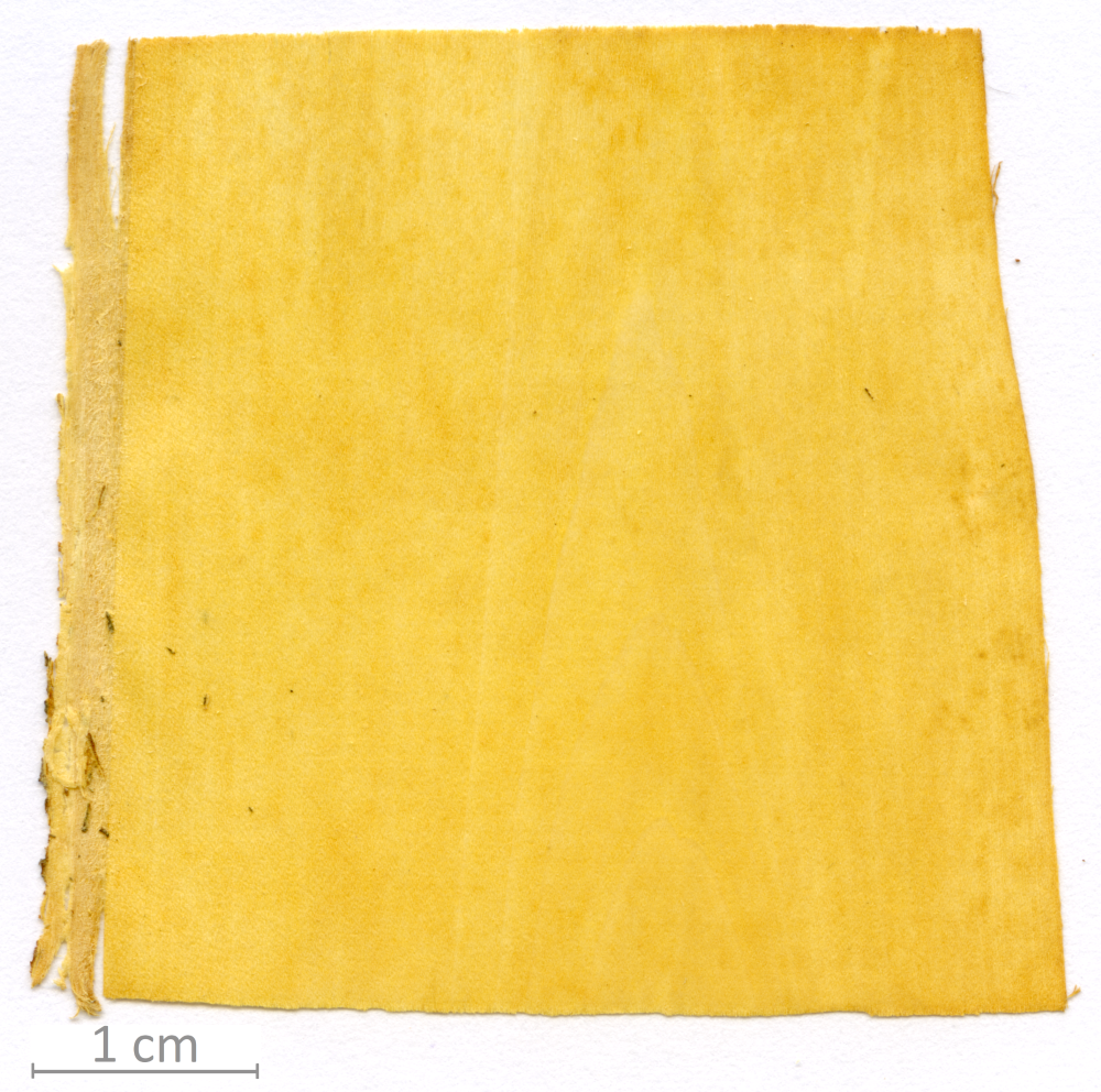 057_XT0117XX sezione longitudinale