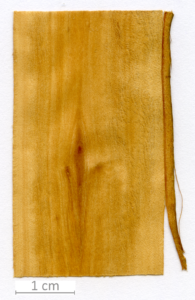 112_XT0028XX sezione longitudinale