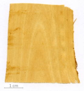 113_XT0158XX sezione longitudinale