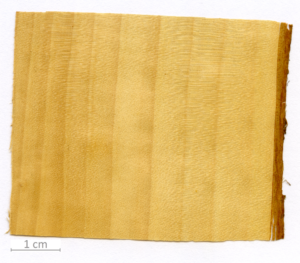 114_XT0159XX sezione longitudinale