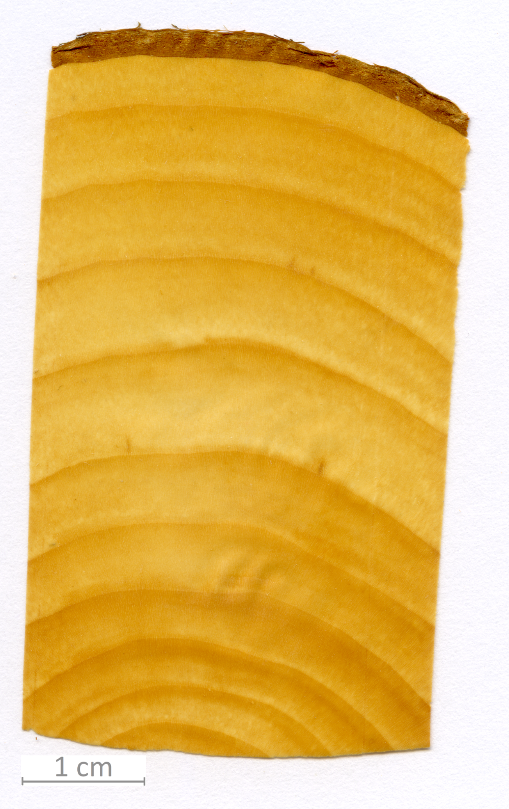 114_XT0159XX sezione trasversale