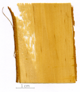 116_XT0029XX sezione longitudinale tangenziale