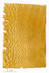 118_XT0141XX sezione longitudinale