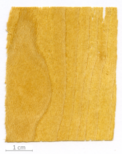 118_XT0141XX sezione longitudinale