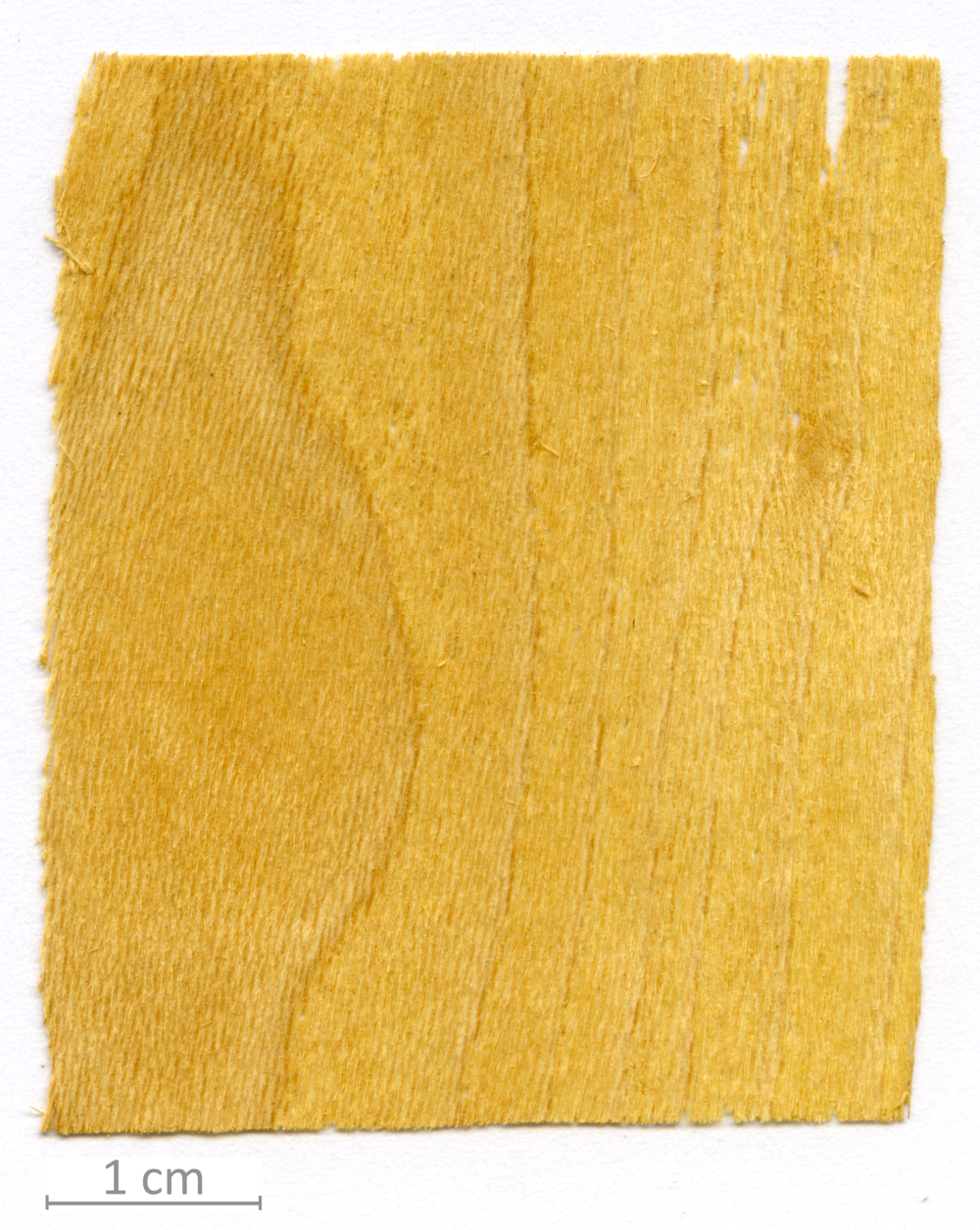 118_XT0141XX sezione longitudinale