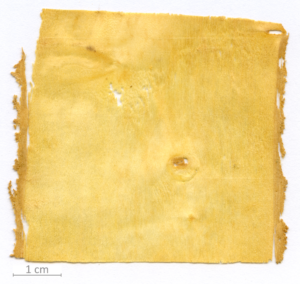 119_XT0137XX sezione longitudinale