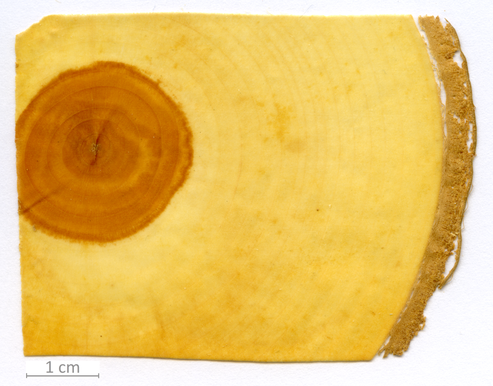 119_XT0137XX sezione trasversale