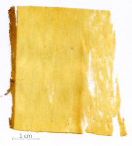 120_XT0125XX sezione longitudinale