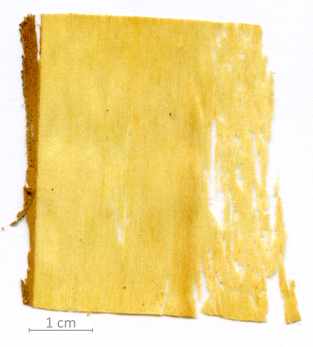 120_XT0125XX sezione longitudinale