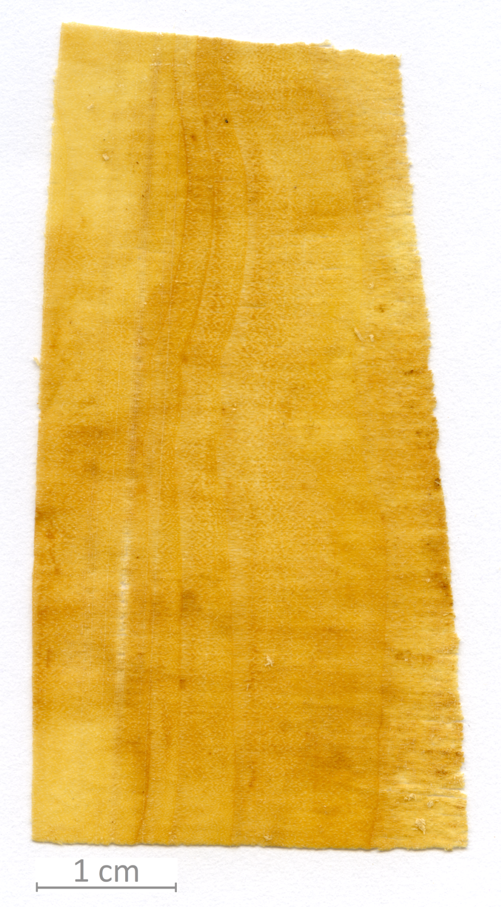 121_XT0136XX sezione longitudinale