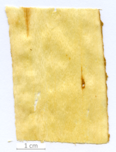 122_XT0022XX sezione longitudinale