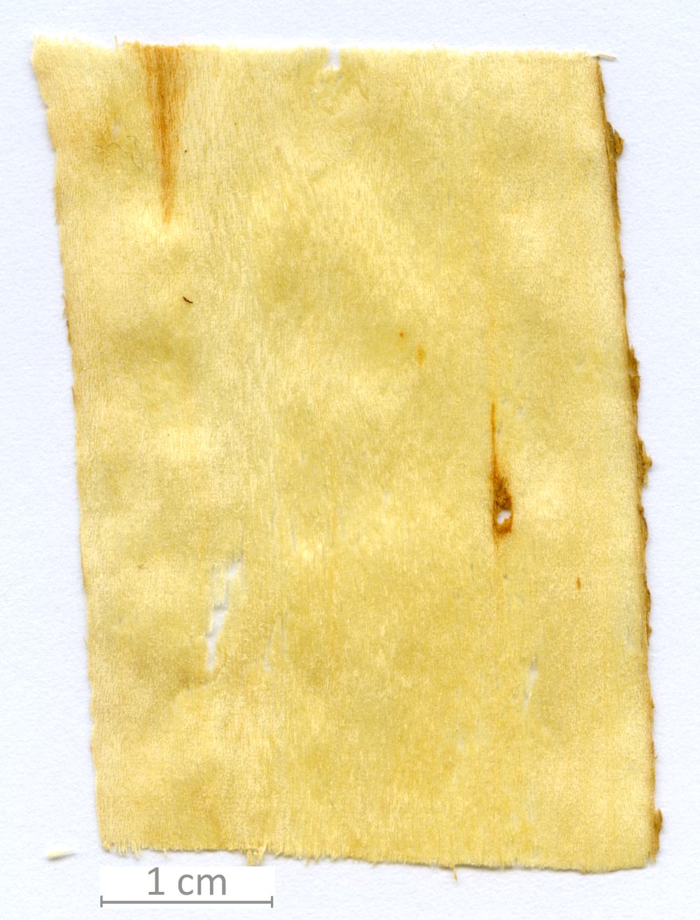 122_XT0022XX sezione longitudinale