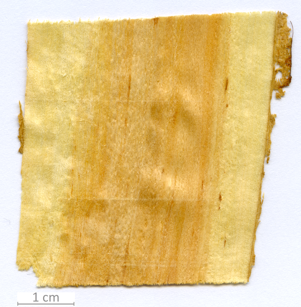 122_XT0022XX sezione longitudinale radiale