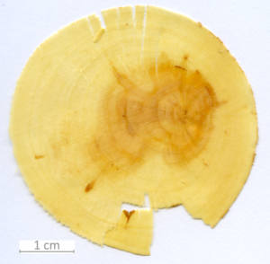 122_XT0022XX sezione trasversale