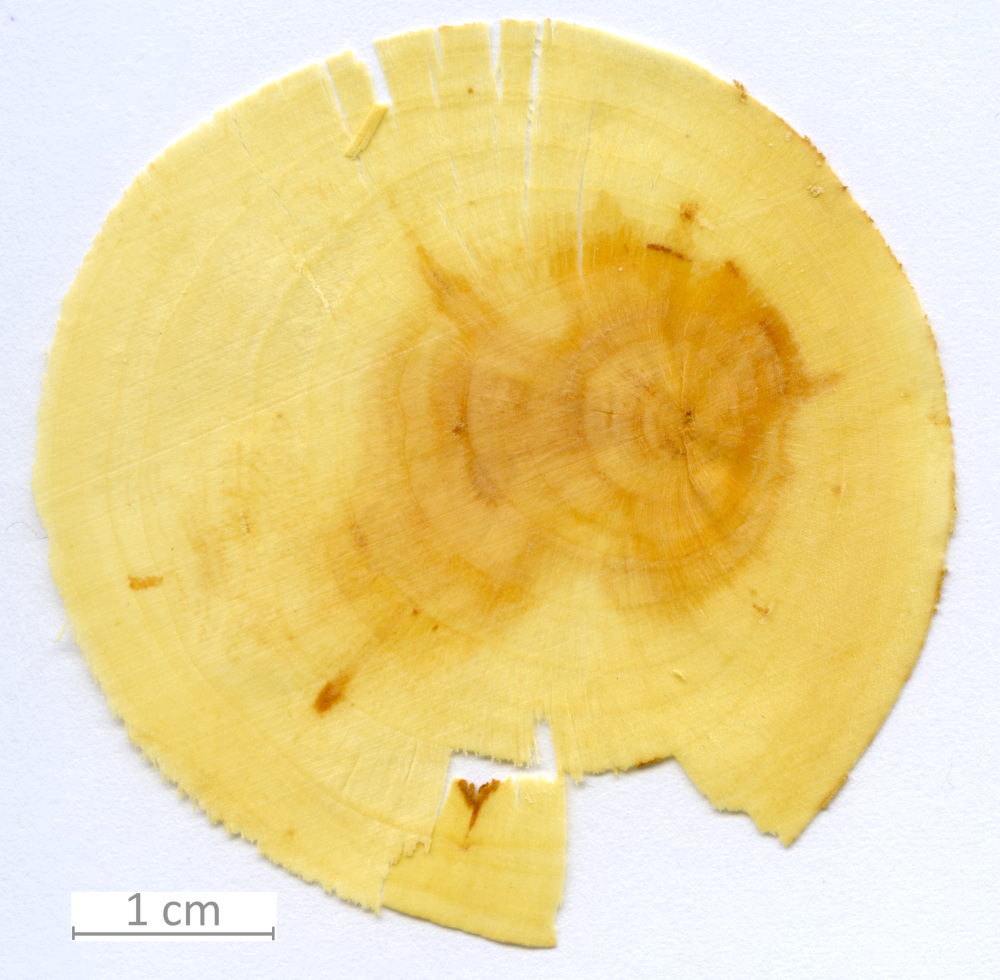 122_XT0022XX sezione trasversale