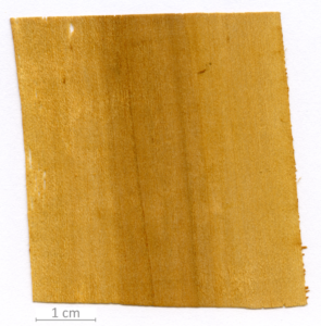 123_XT0128XX sezione longitudinale