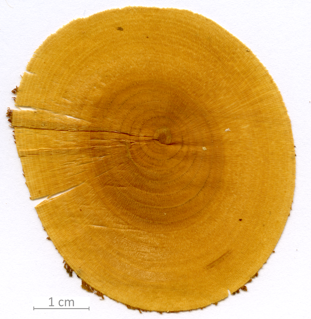 123_XT0128XX sezione trasversale