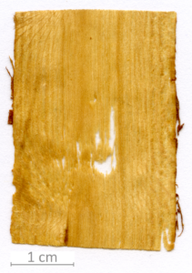 124_XT0092XX sezione longitudinale