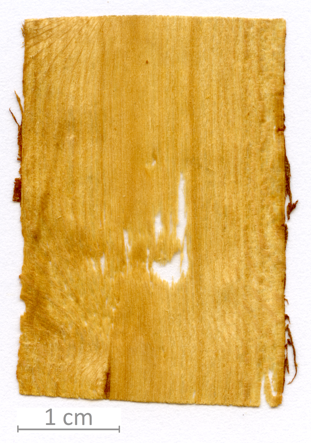 124_XT0092XX sezione longitudinale