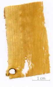 125_XT0091XX sezione longitudinale