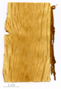 126_XT0023QC sezione longitudinale