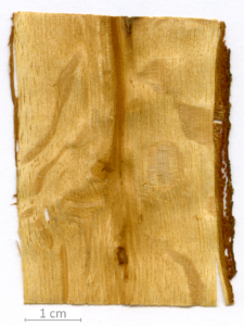 126_XT0023QC sezione longitudinale