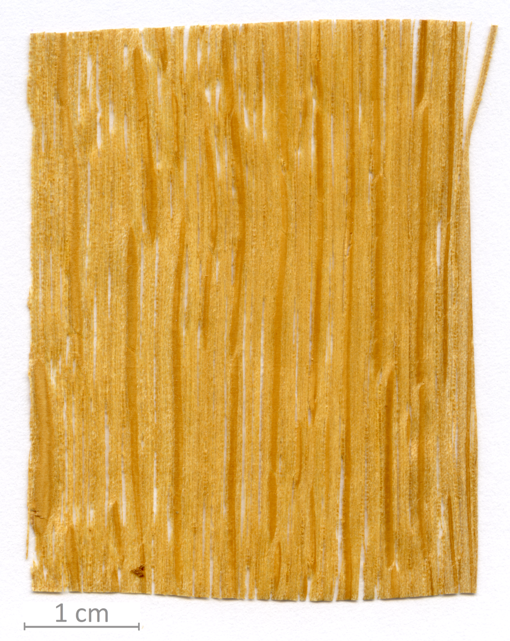 127_XT0102XX sezione longitudinale