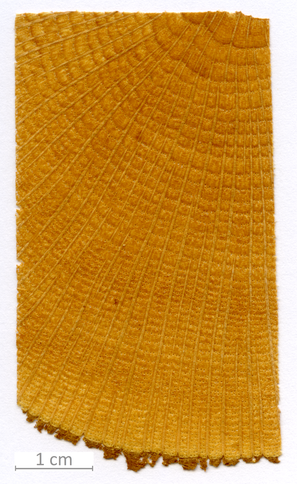 127_XT0102XX sezione trasversale