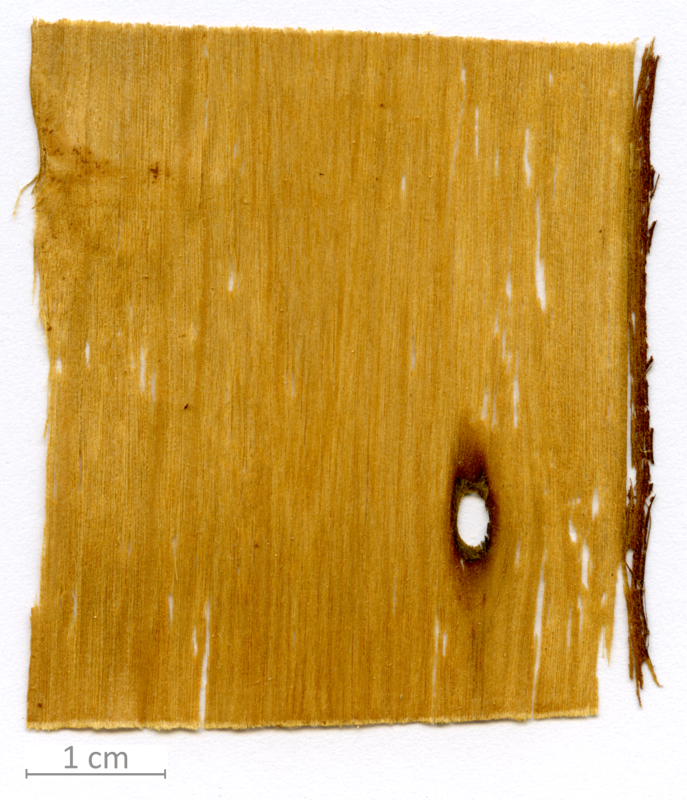 128_XT0085XX sezione longitudinale