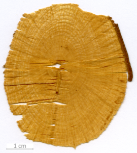 128_XT0085XX sezione trasversale