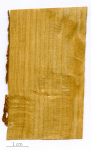 129_XT0140XX sezione longitudinale tangenziale