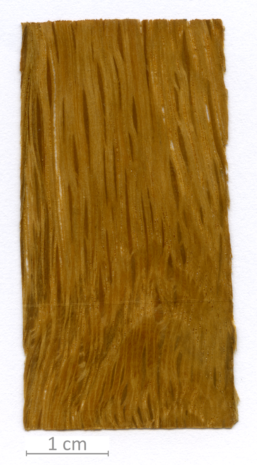 130_XT0139XX sezione longitudinale