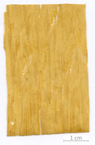 134_XT0138bisXX sezione longitudinale