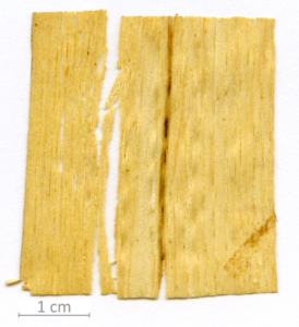 135_XT0126XX sezione longitudinale