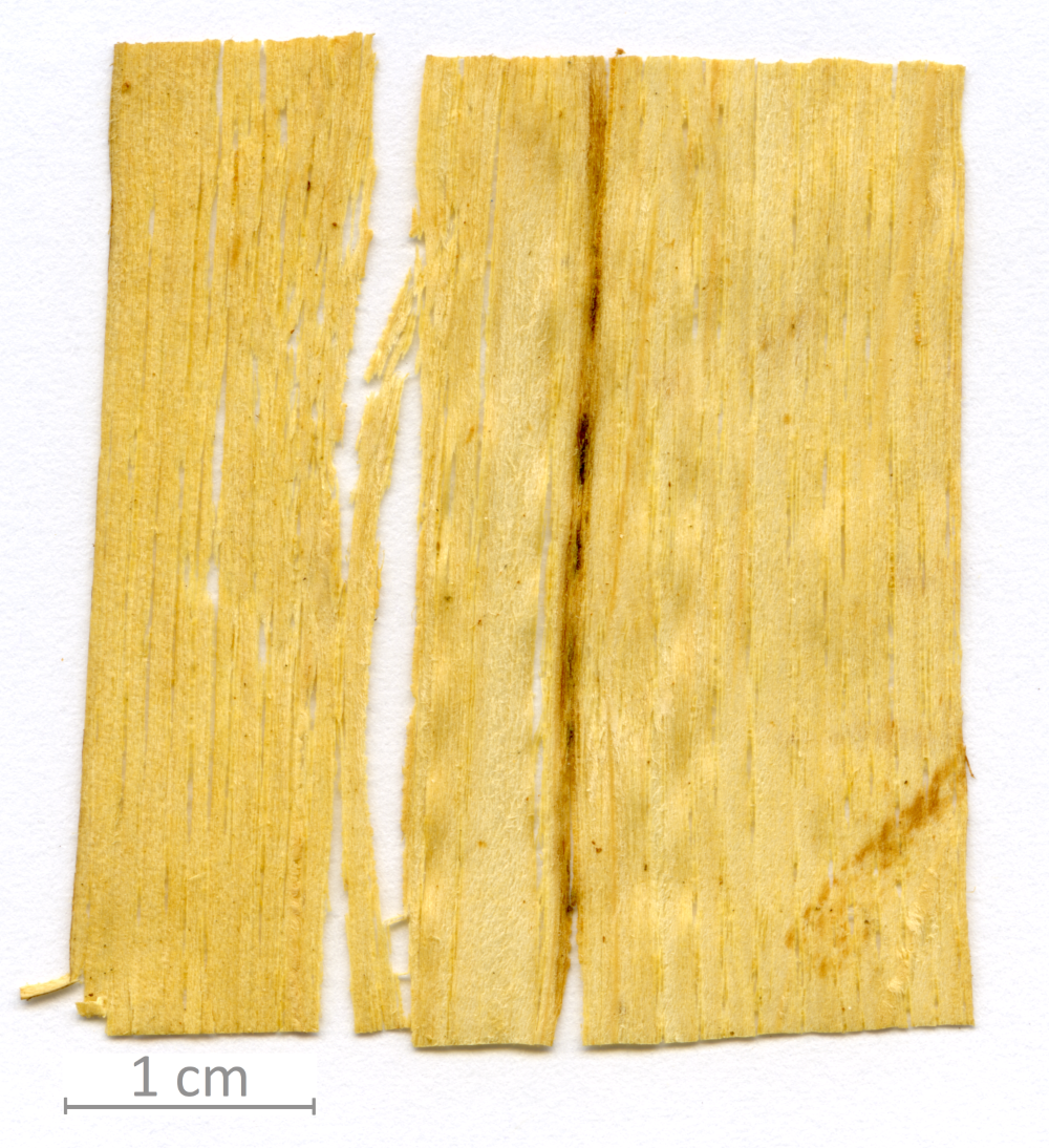 135_XT0126XX sezione longitudinale