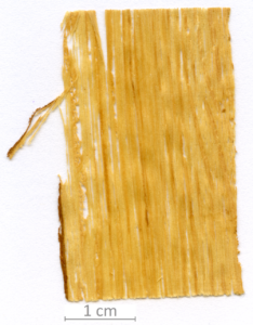 137_XT0024XX sezione longitudinale