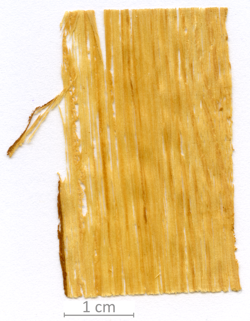 137_XT0024XX sezione longitudinale