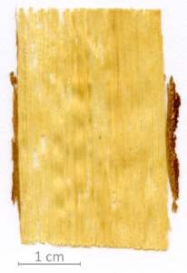 138_XT0084XX sezione longitudinale