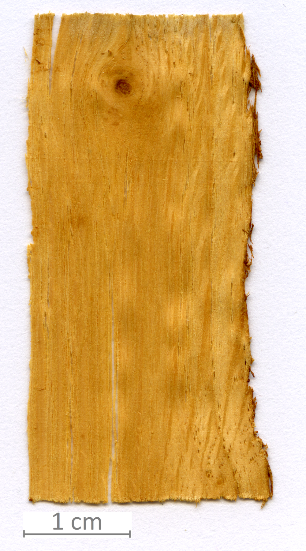 139_XT0025XX sezione longitudinale