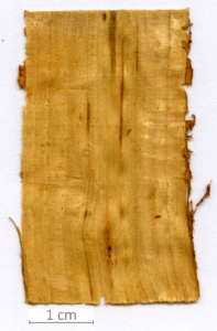 139_XT0025XX sezione longitudinale